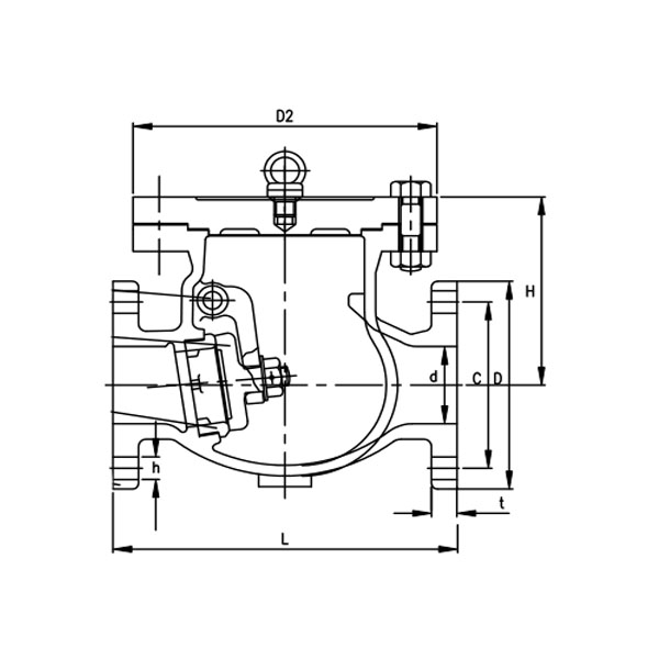 JIS F7373 250A Cast Iron Swing Check Valve 1.jpg